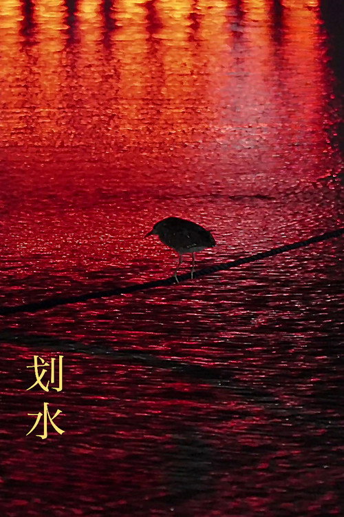 划水 封面