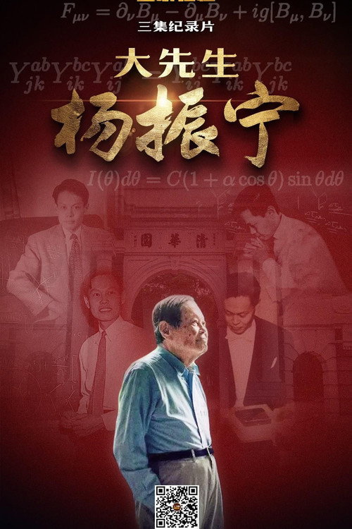 大先生杨振宁 封面