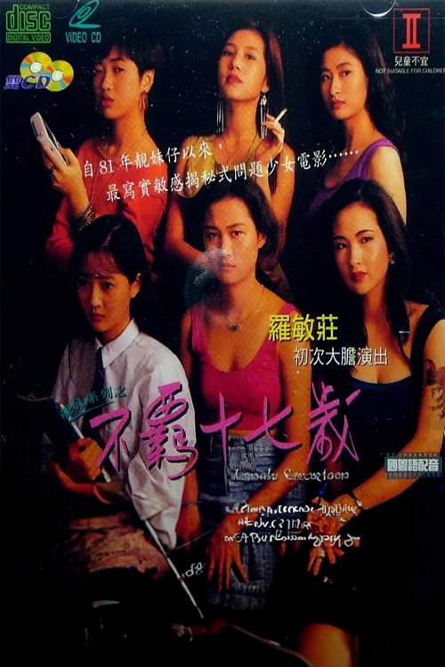 靓妹系列之不羁十七岁 封面