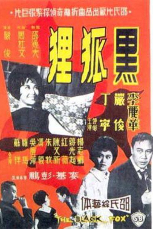 黑狐狸 封面