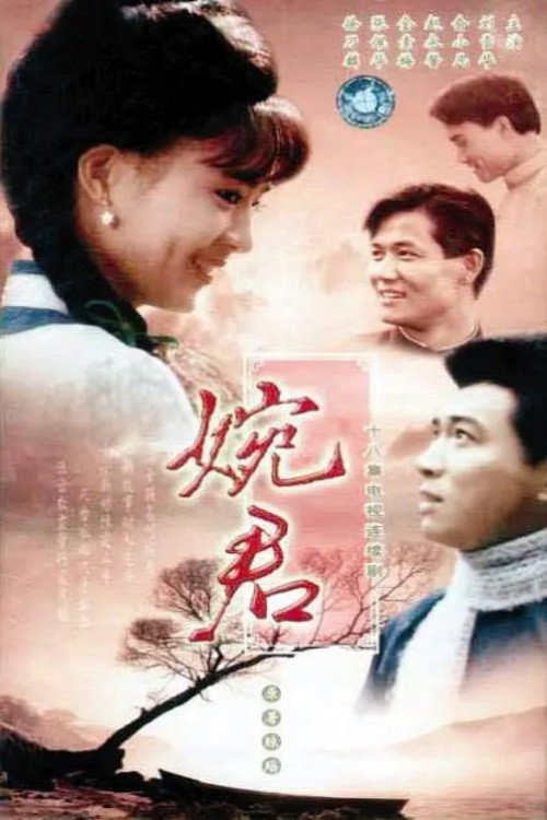 婉君 封面