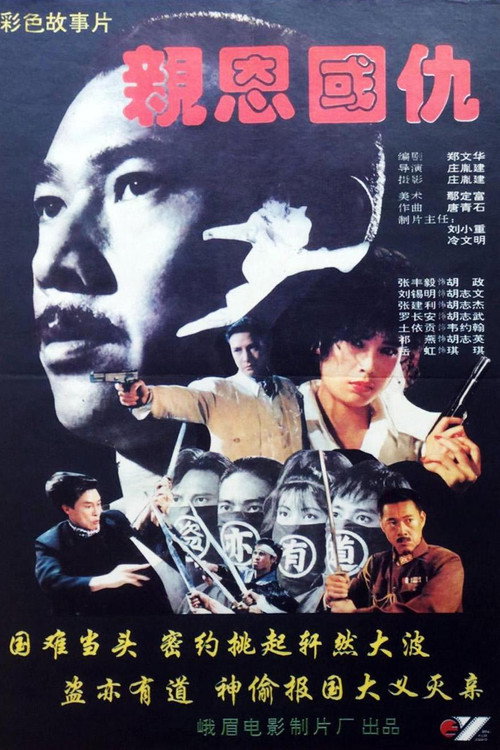 亲恩国仇 封面