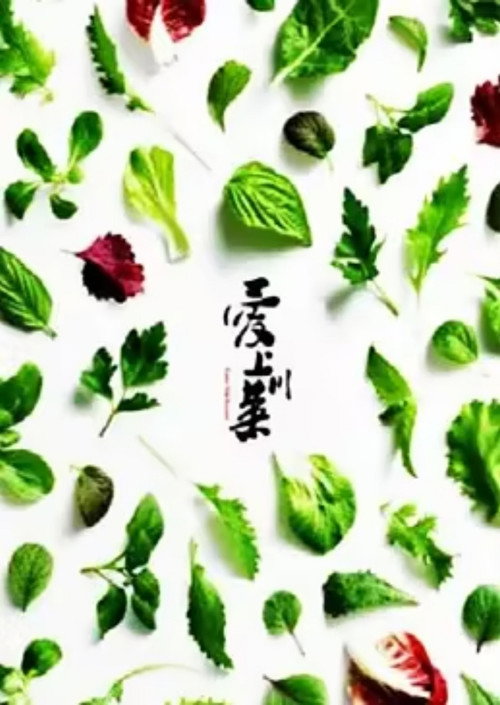 爱上川菜 封面