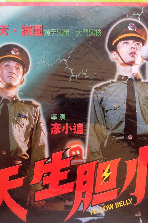 天生胆小 封面