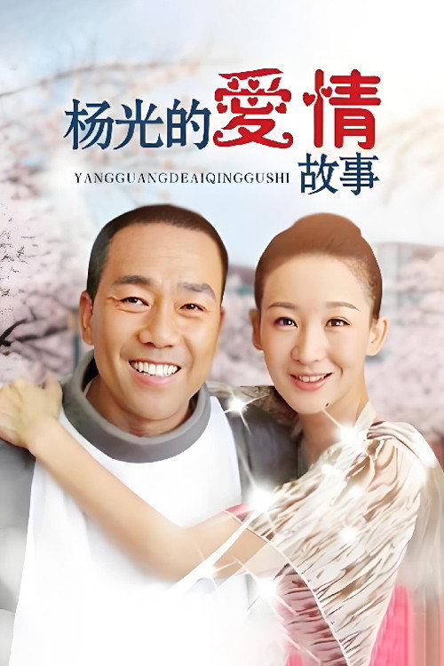 杨光的爱情故事 封面