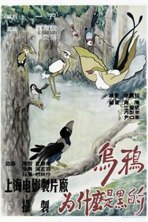 乌鸦为什么是黑的 封面