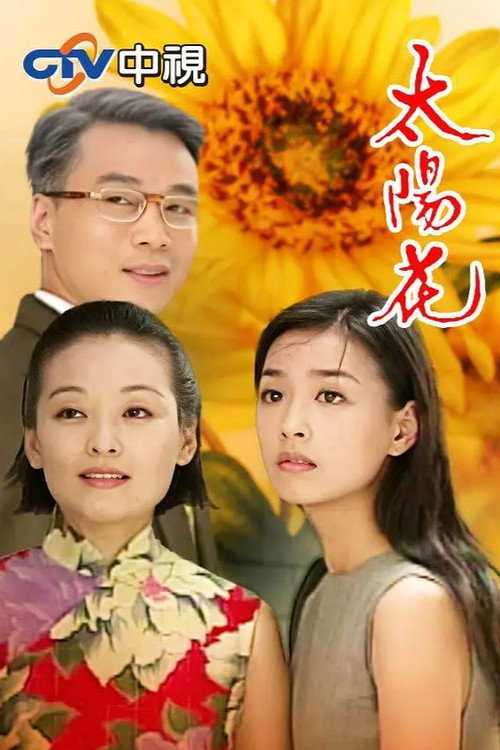 太阳花 封面