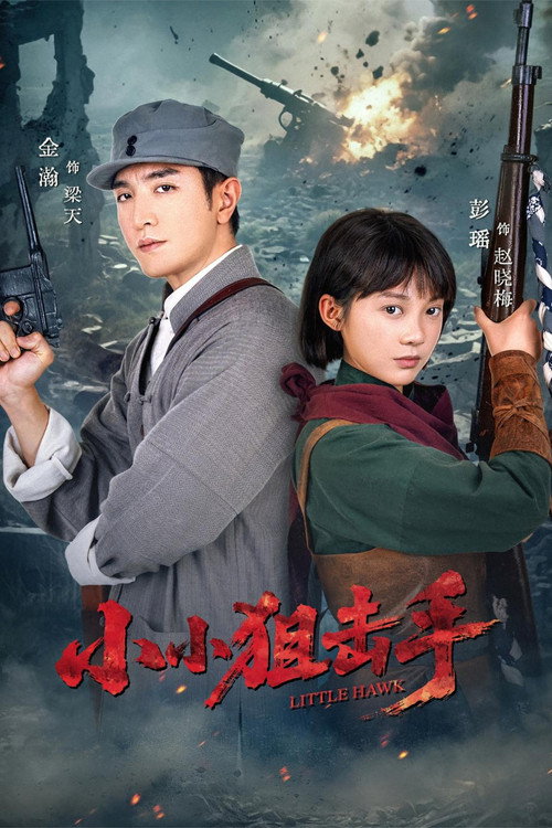 小小狙击手 封面