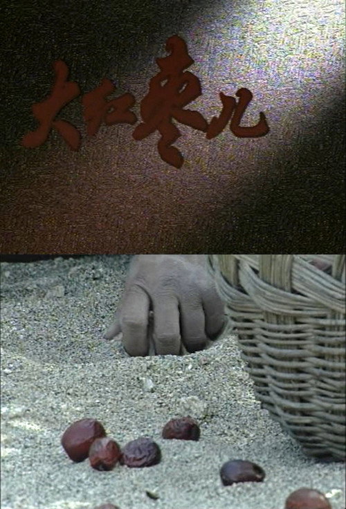 大红枣儿 封面