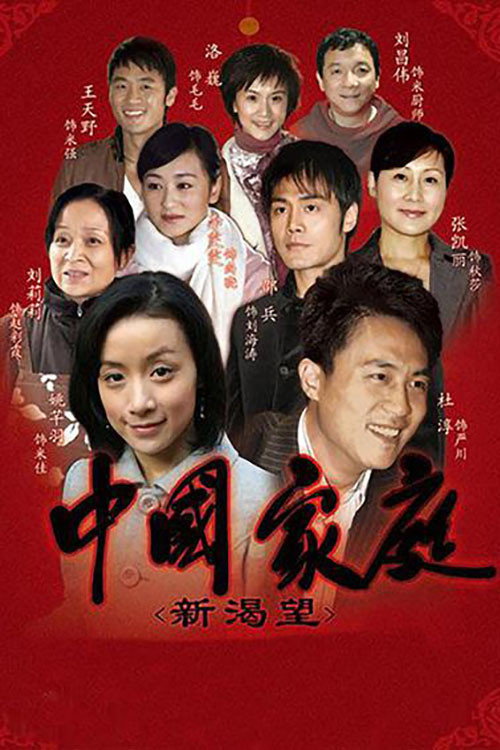 中国家庭之新渴望 封面