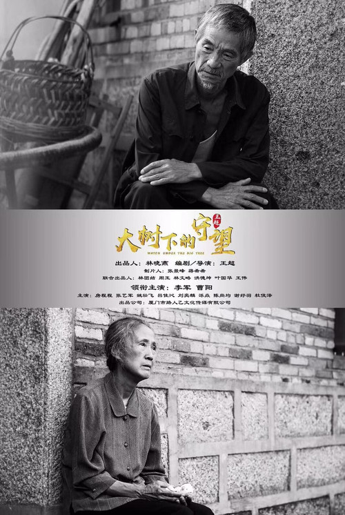 大树下的守望 封面