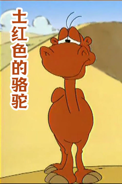 土红色的骆驼 封面