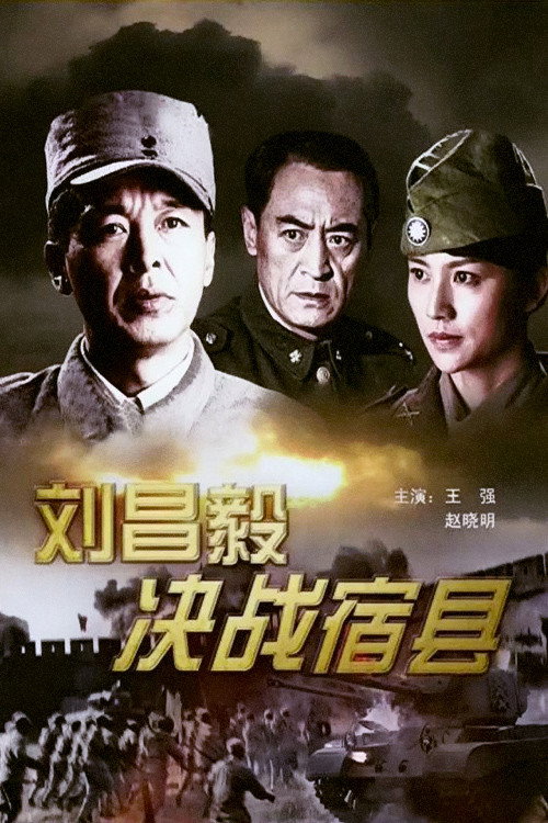 刘昌毅决战宿县 封面