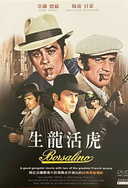 江湖龙虎 封面
