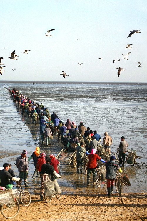 海路十八里 封面