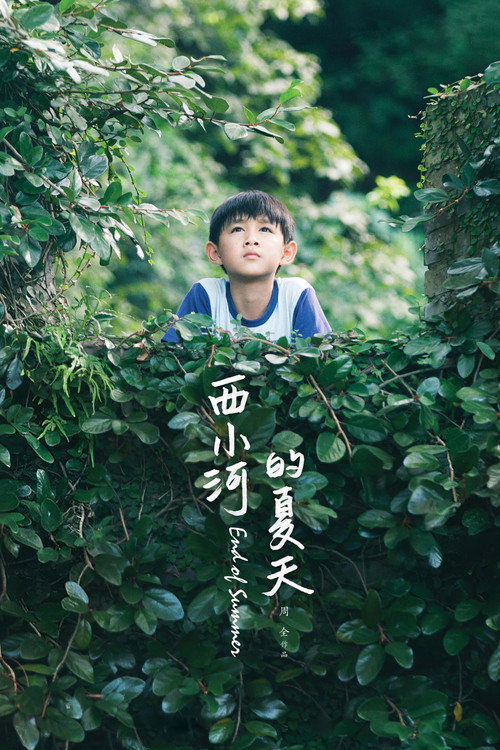 西小河的夏天 封面