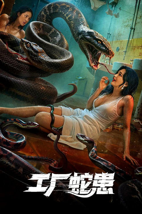 工厂蛇患 封面
