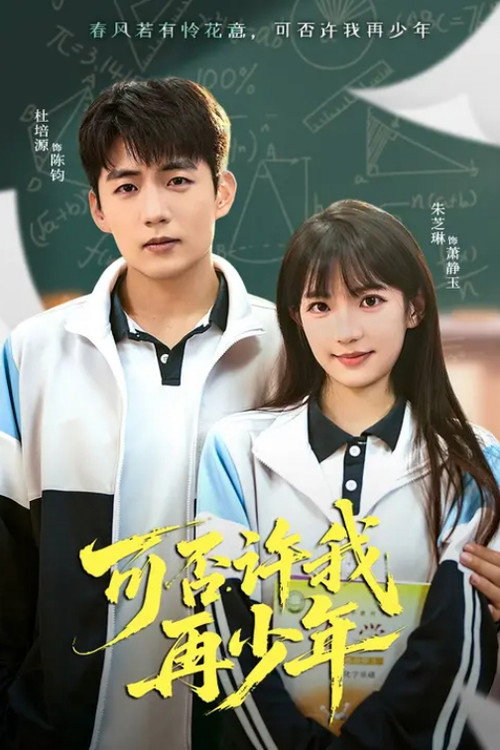可否许我再少年 封面