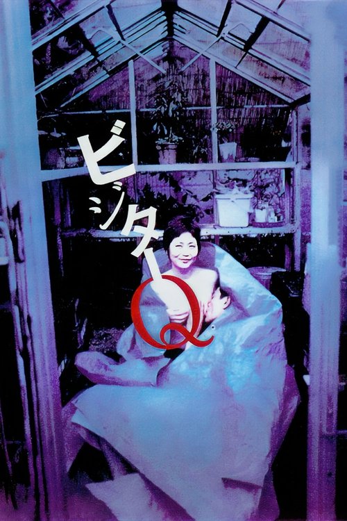 拜访者Q 封面