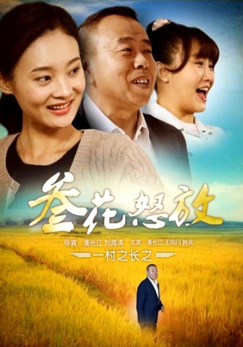 一村之长之参花怒放 封面