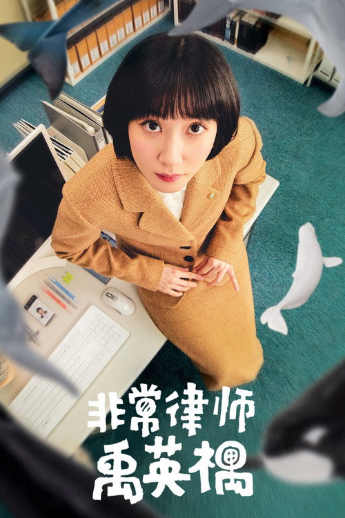 非常律师禹英禑 封面