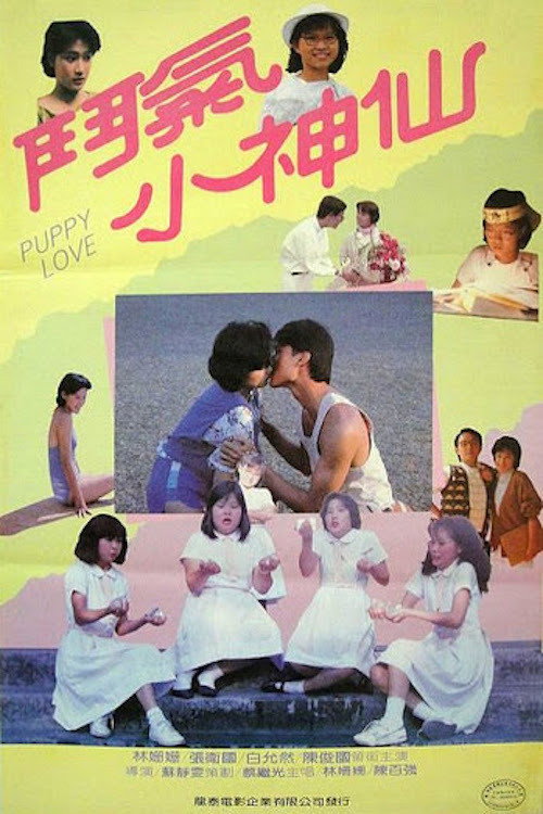 斗气小神仙 封面
