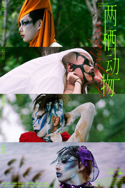 两栖动物 封面