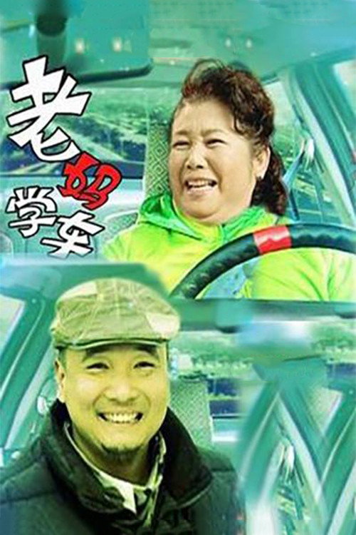 老妈学车 封面
