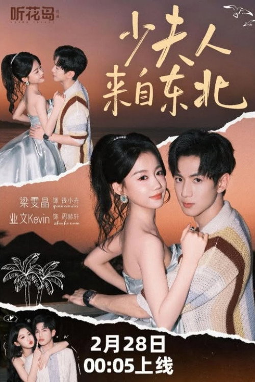 少夫人来自东北 封面