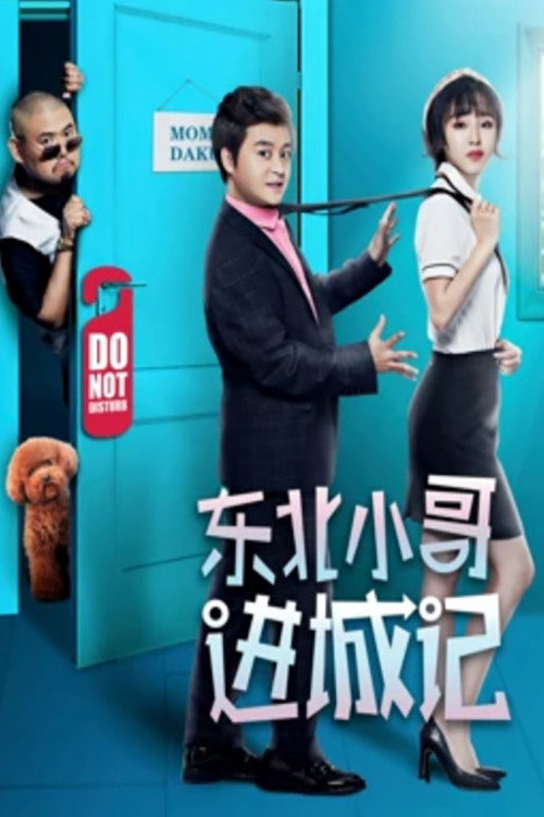 东北小哥进城记 封面