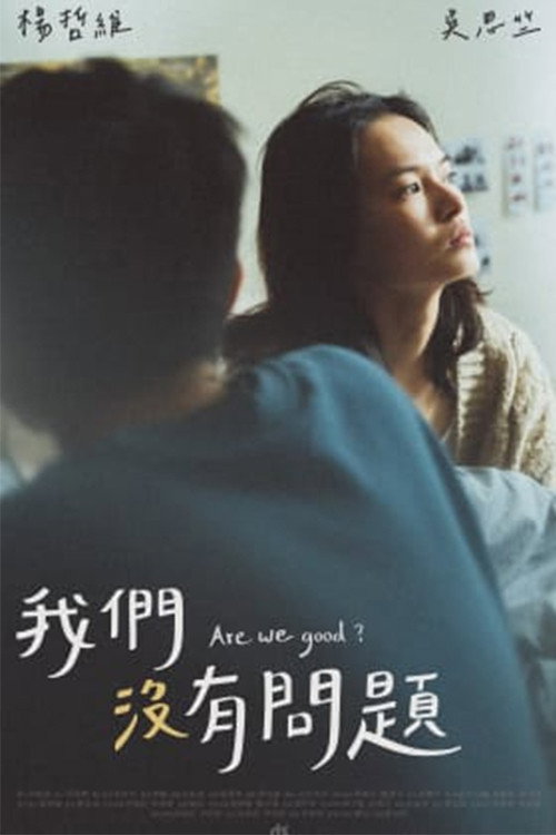 我们没有问题 封面