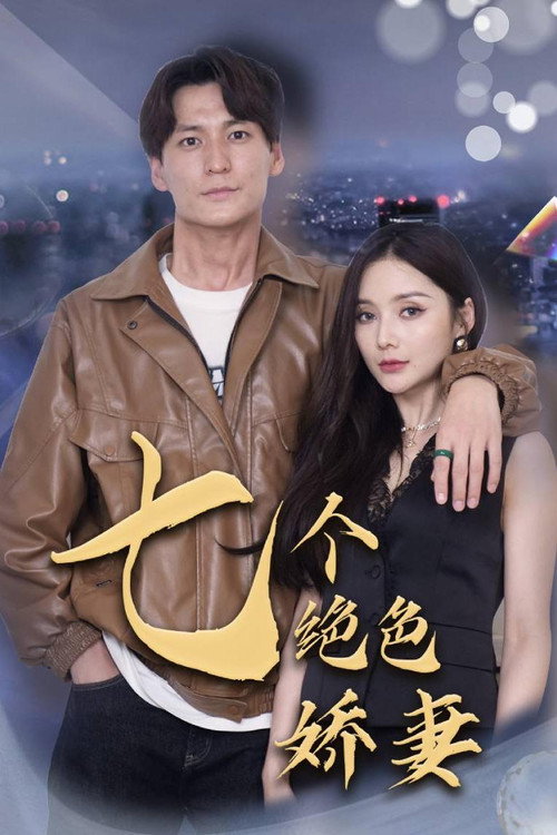 七个绝色娇妻 封面
