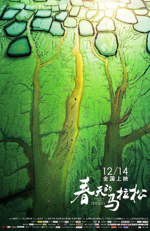 春天的马拉松 封面