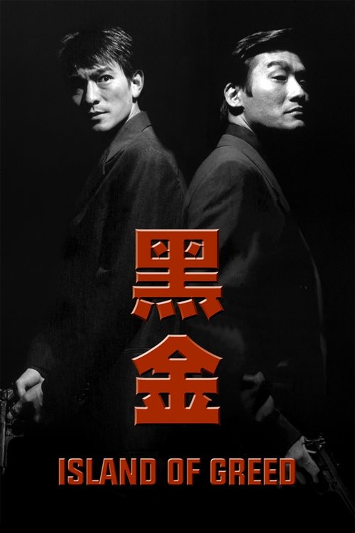 黑金 封面