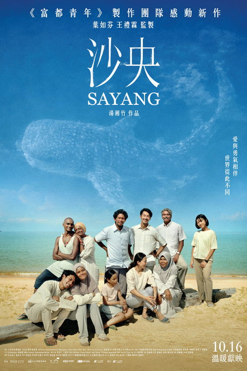 沙央 封面