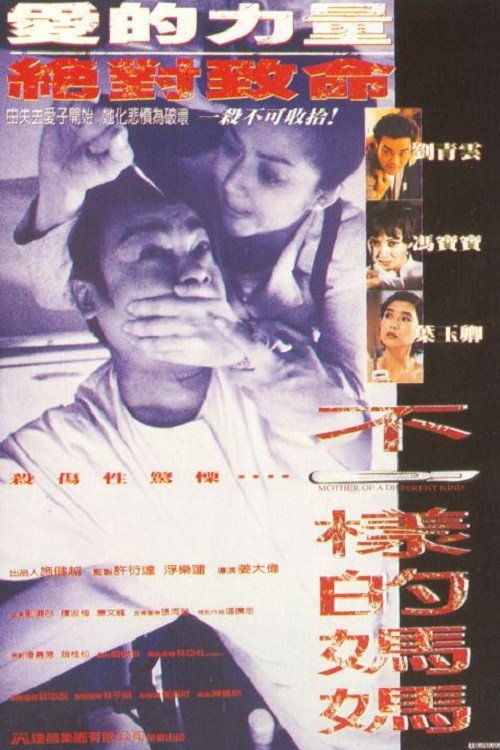 不一样的妈妈 封面
