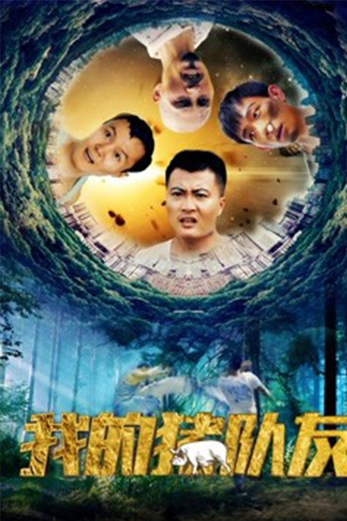 我的猪队友 封面