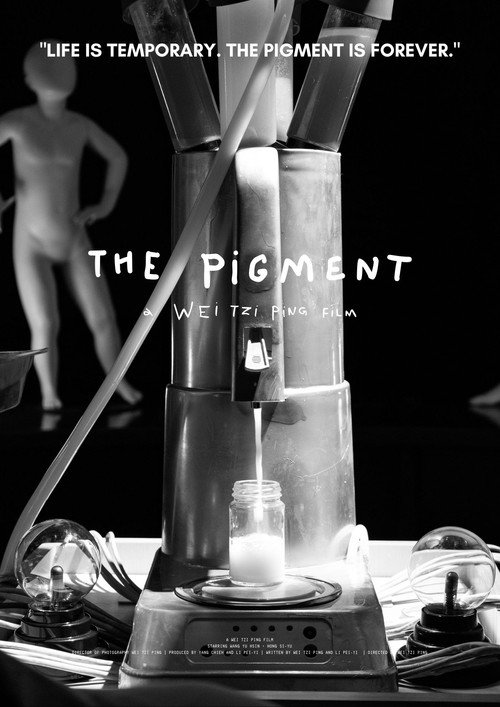 THE PIGMENT 封面
