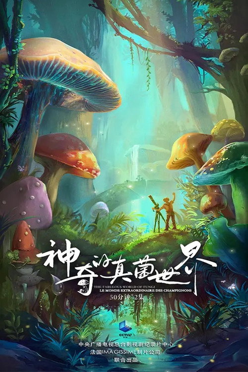 神奇的真菌世界 封面