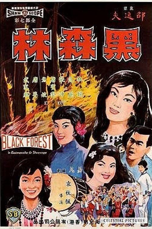 黑森林 封面