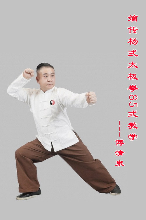 嫡传杨式太极拳 封面