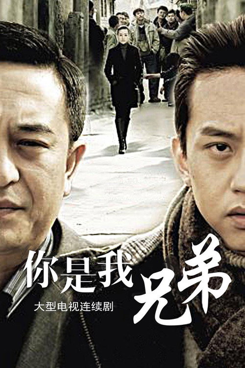 你是我兄弟 封面