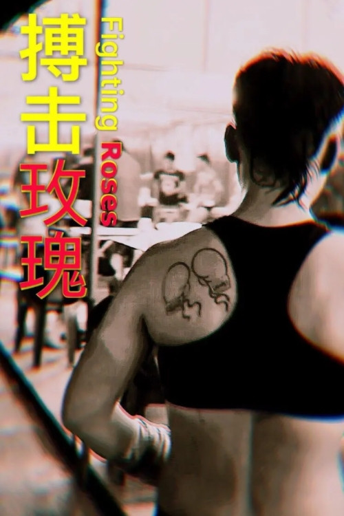 搏击玫瑰 封面