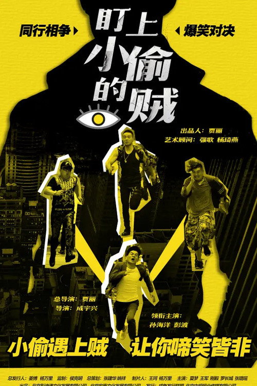 盯上小偷的贼 封面