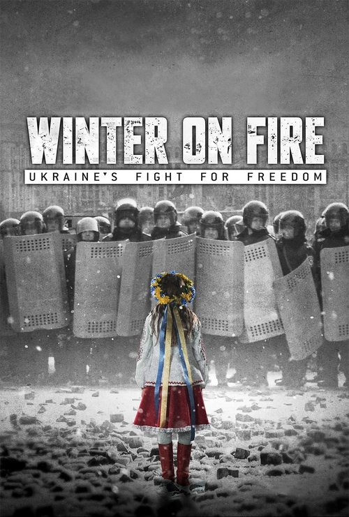 凛冬烈火：乌克兰为自由而战 封面