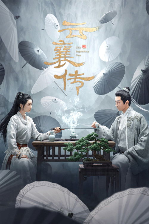 云襄传 封面