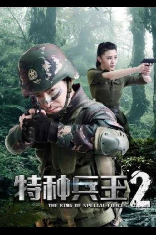 特种兵王2使命抉择 封面