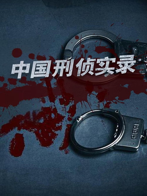 中国刑侦实录 封面