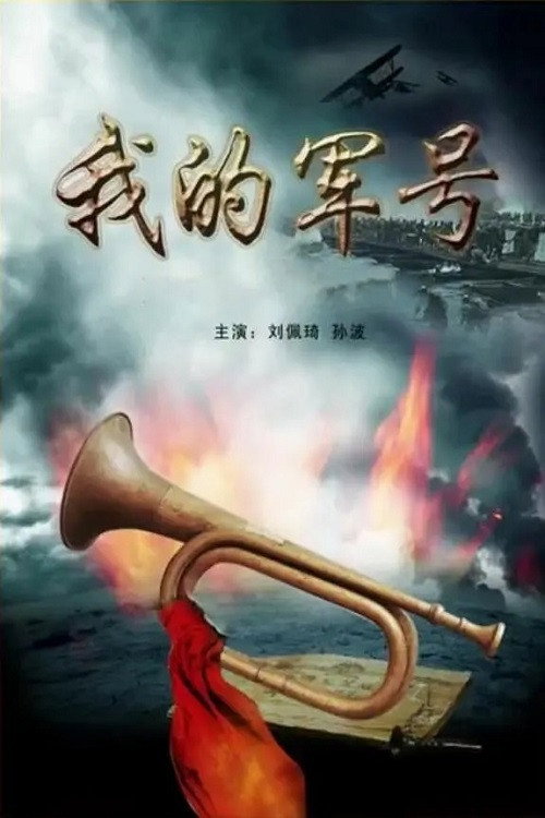 我的军号 封面