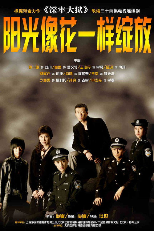 阳光像花一样绽放 封面